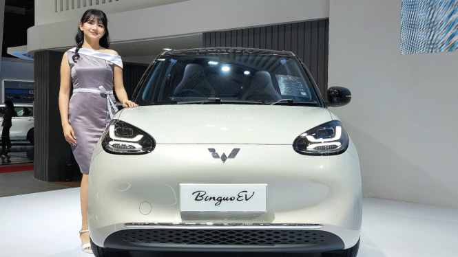 Binguo EV di IIMS 2024