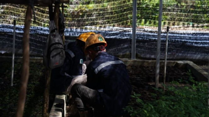 Arsari Tambang melalui PT Mitra Stania Prima (MSP) menargetkan bisa meraih Proper Emas KLHK pada 2025