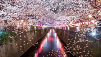 Sambut Tahun Naga Nikmati Liburan dengan Penerbangan Mulai dari Rp0!