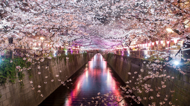 Tokyo, Jepang