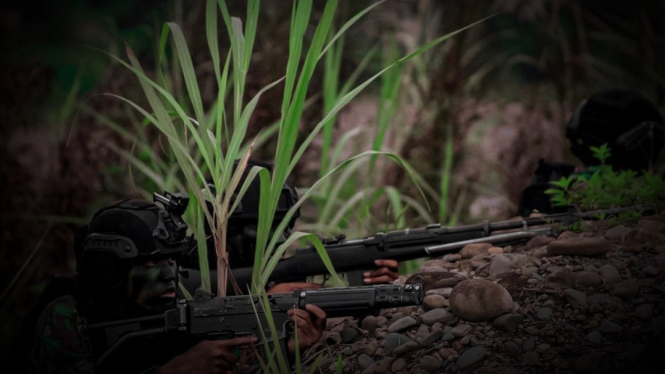 VIVA Militer: Pasukan Yonkav 3 Serigala Ceta 