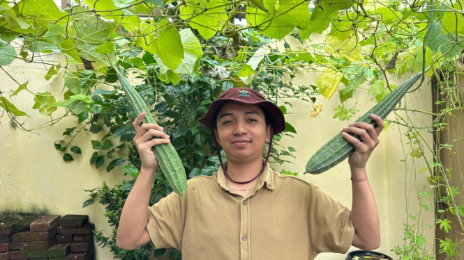 Ilustrasi Berkebun