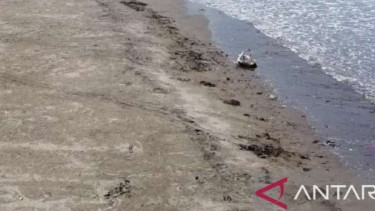 Pantai Talanca di Simpenan, Kabupaten Sukabumi Jawa Barat