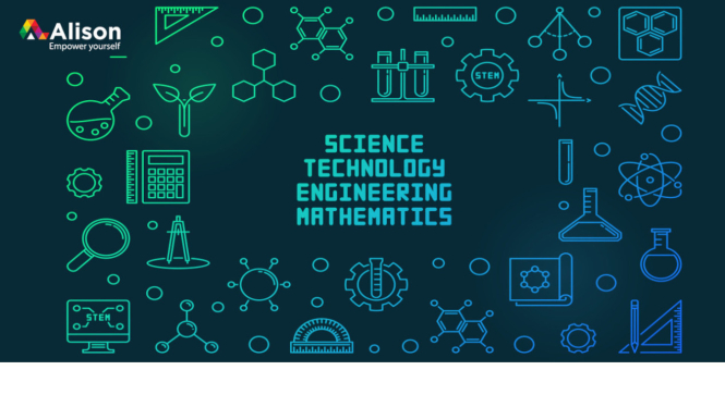 STEM.