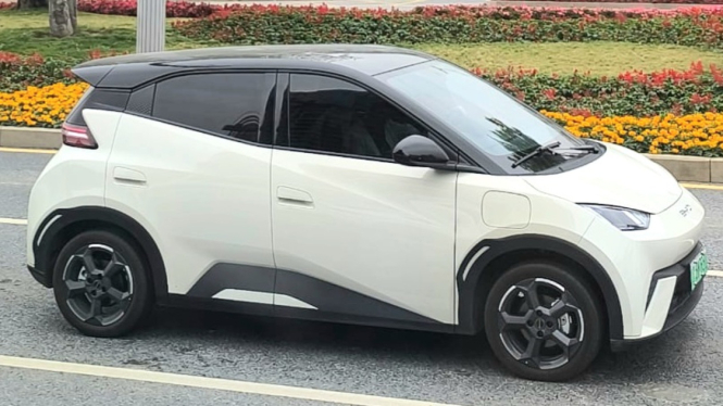 BYD Seagull