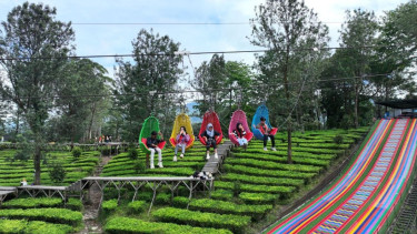 Agrowisata Gunung Mas di Puncak Bogor, Jawa Barat.