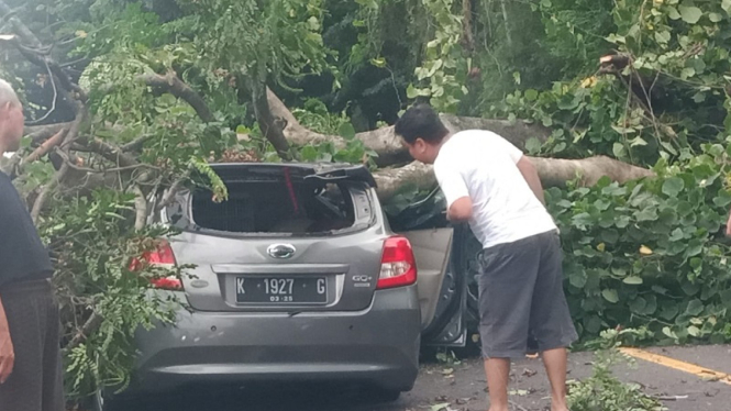 Mobil Datsun ringsek usai tertimpa pohon imbas hujan dan angin di Semarang