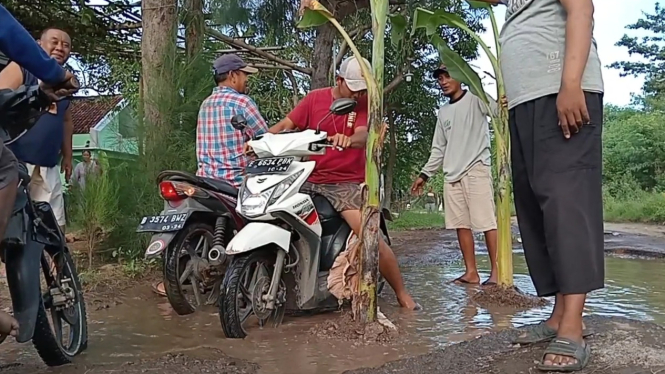 Protes jalan rusak, warga tanam pohon pisang
