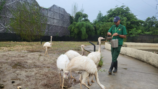 Aviary Park Indonesia.