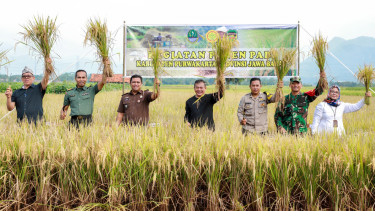 Panen raya di Kabupaten Purwakarta