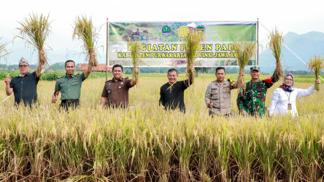 Panen raya di Kabupaten Purwakarta