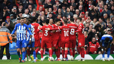 Duel Liverpool vs Brighton