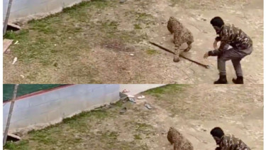 Seorang Pejabat Terekam Sedang Duel dengan Macan