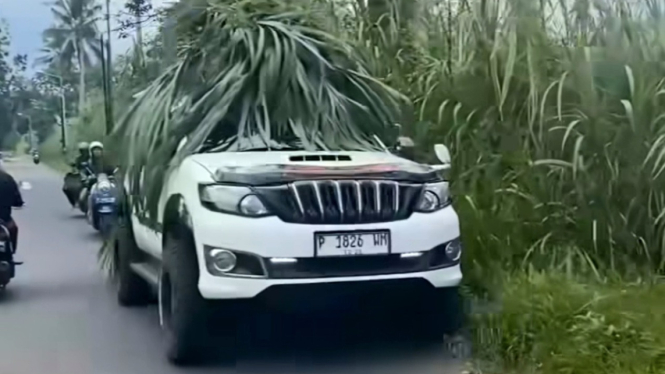 Toyota Fortuner berfungsi sebagai arit rumput