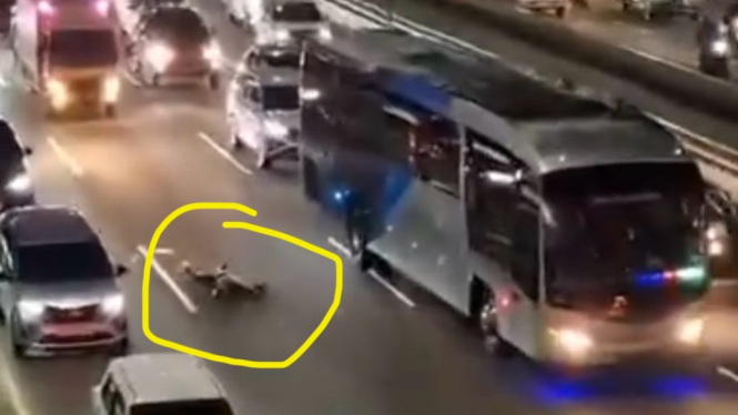 Seorang pria paruh baya tewas tertabrak mobil di Tol Dalam Kota Jakarta, Tomang, Jakarta Barat.