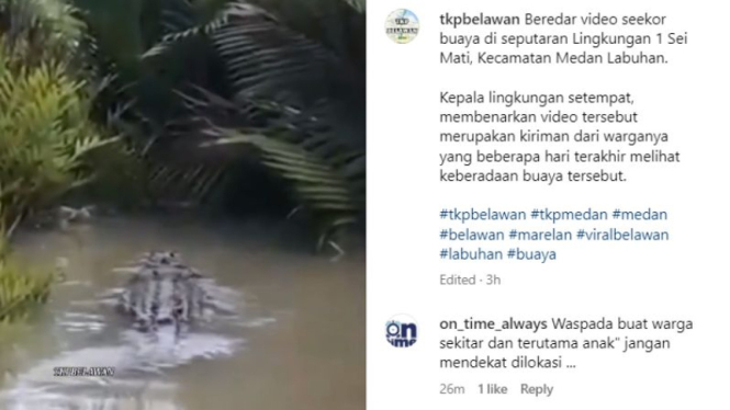 Tangkapan layar penampakan buaya di Kecamatan Medan Labuhan.