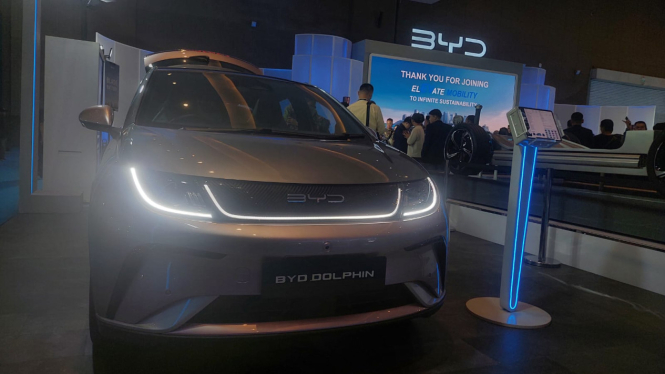 BYD Dolphin di PEVS 2024