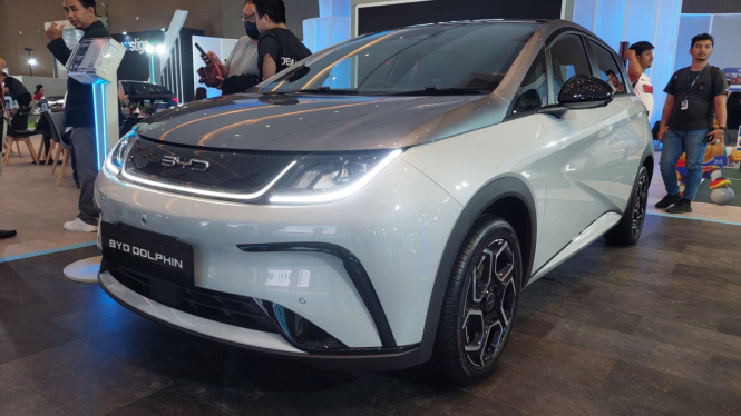BYD Dolphin di PEVS 2024