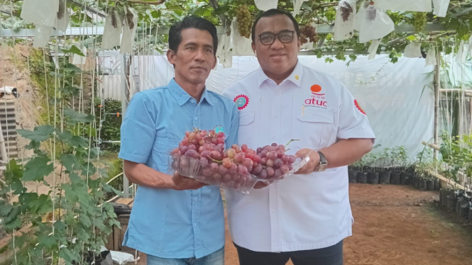 Andi Gani Nena Wea di kebun anggur milik Misyadi [dok. KSPSI]
