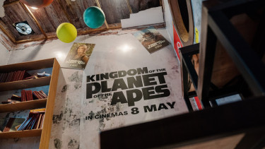film Kingdom of the Planet of the Apes.