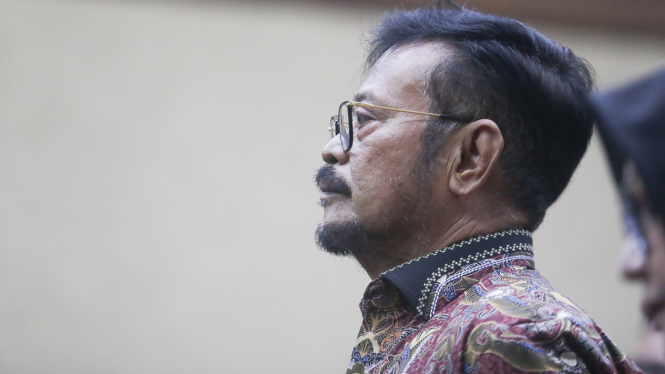 Sidang Syahrul Yasin Limpo, SYL