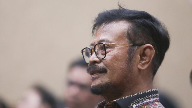 Sidang Syahrul Yasin Limpo, SYL