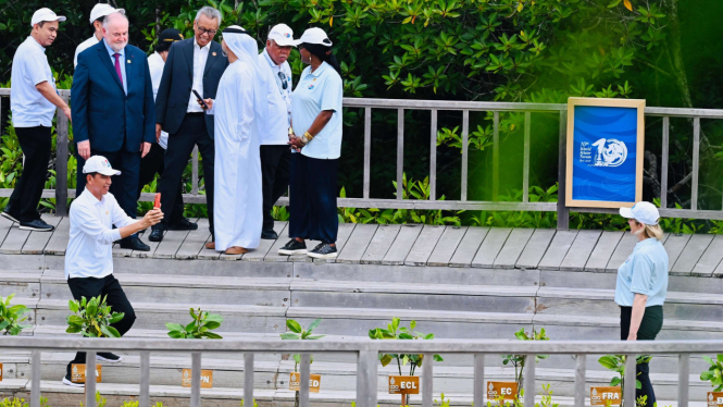 Moment Presiden Jokowi jadi Tukang Foto Utusan Prancis di Hutan Mangrove Tahura