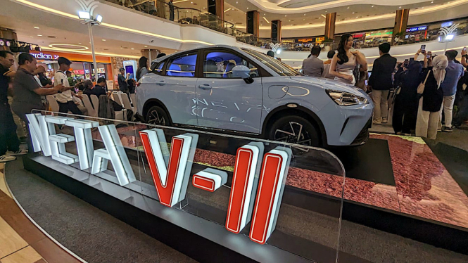 Neta V-II