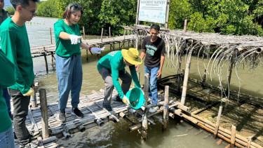 Penanaman mangrove oleh MPMX