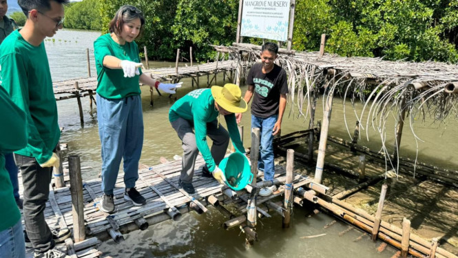 Penanaman mangrove oleh MPMX