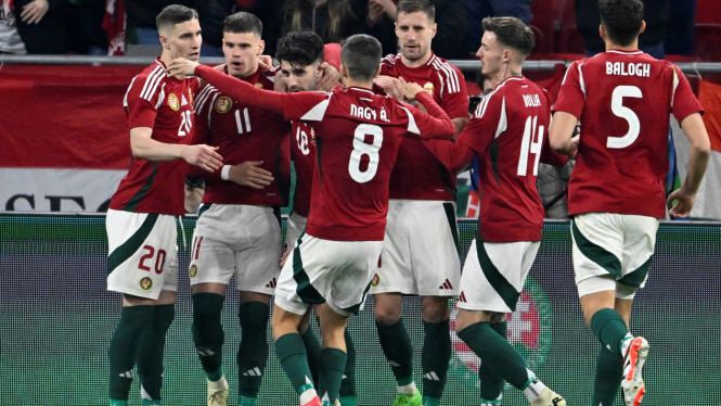 Pemain Timnas Hungaria