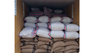  8,55 Ton Pala Maluku Diekspor ke Belanda