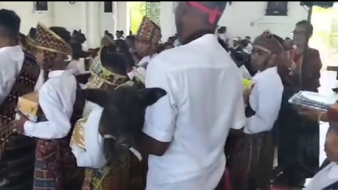 Video seorang pria membawa babi ke altar gereja saat misa komuni pertama di Sikk