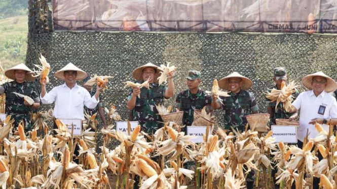 VIVA Militer: KSAD Jenderal Maruli ajak Mentan Amran Panen Jagung dan Singkong