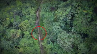 VIVA Militer: OPM kabur ke hutan