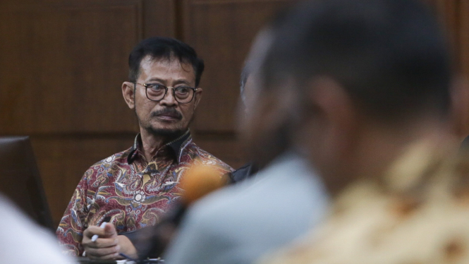 Sidang Syahrul Yasin Limpo, SYL