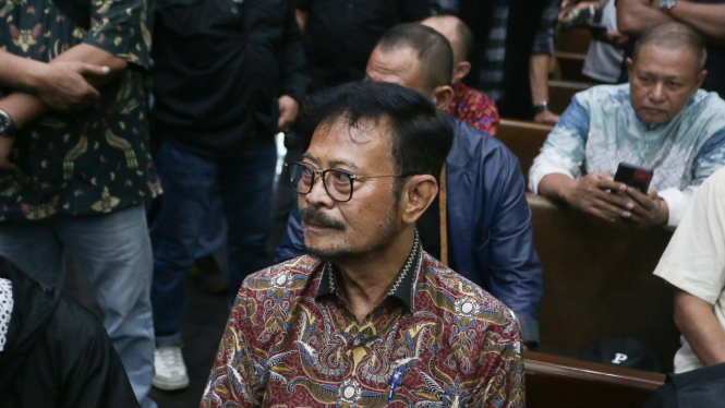 Sidang Syahrul Yasin Limpo, SYL