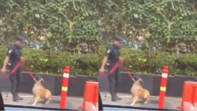 Viral sekuriti mall Plaza Indonesia diduga pukul anjing penjaga