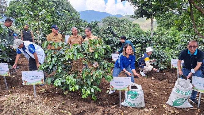 Revitalisasi Kebun Kopi Cikoneng, Puncak Bogor. VIVA/Muhammad AR