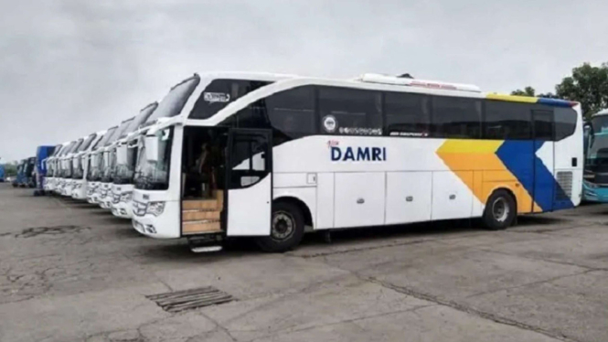Armada Bus DAMRI