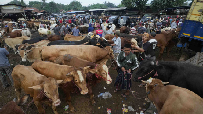 Jual Beli Hewan Kurban Jelang Hari Raya Idul Adha