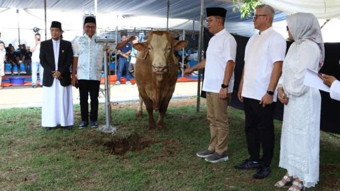 Bank Mandiri salurkan daging kurban kepada kaum dhuafa