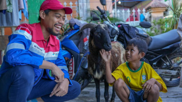Pertamina Grup menyalurkan 4.493 hewan kurban