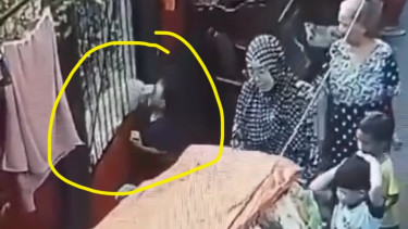 Seorang bocah 7 tahun mengalami luka parah di bagian matanya akibat digigit anjing tetangganya di Cipulir, Kebayoran Lama, Jakarta Selatan.
