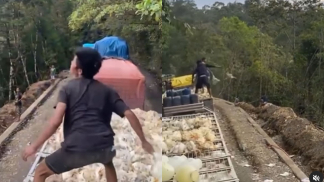 Kejebak Macet Dua Hari di Sulawesi, Ratusan Ayam Diangkut Truk Mati Lalu Dibuang