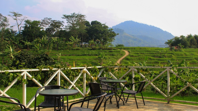 Pemandangan pegunungan dan sawah di Sentul, Kabupaten Bogor