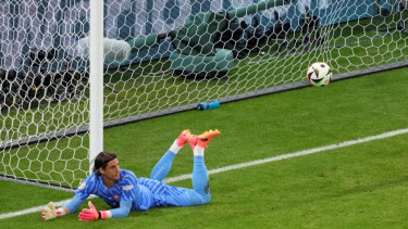Kiper Timnas Swiss, Yann Sommer