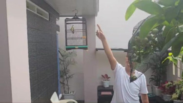 Maling Burung Bikin Resah Warga Lampung