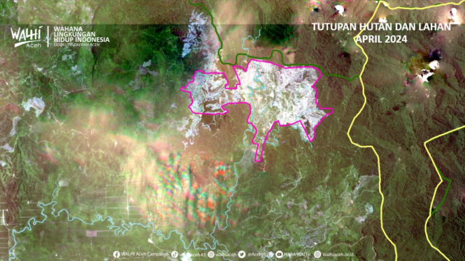 Citra satelit hutan yang dirusak di Kota Subulussalam