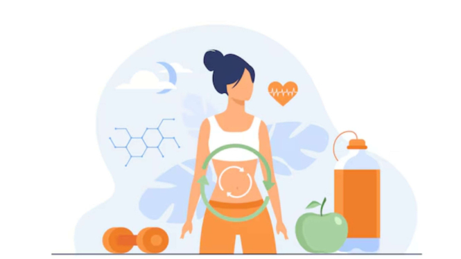 Ilustrasi Metabolisme (Sistem Pencernaan)